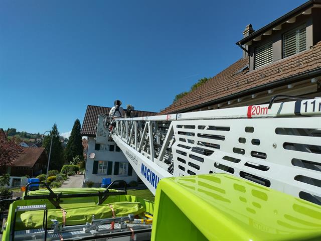 Bienenschwarm, Illnau
