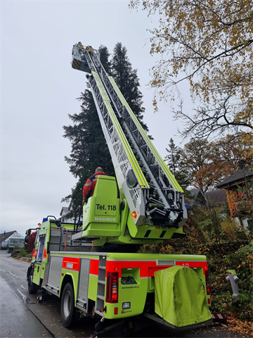 Kleintierrettung: Tollenstrasse, Weisslingen