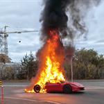 Bildergallerie anzeigen