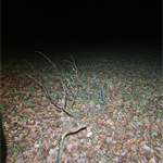 Bildergallerie anzeigen