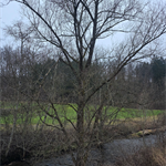 Bildergallerie anzeigen