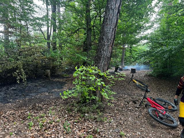 Waldbrand Kyburg