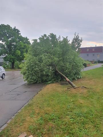 Unwetter Tagelswangen