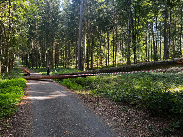 TH1, Chällerholzweg, Illnau
